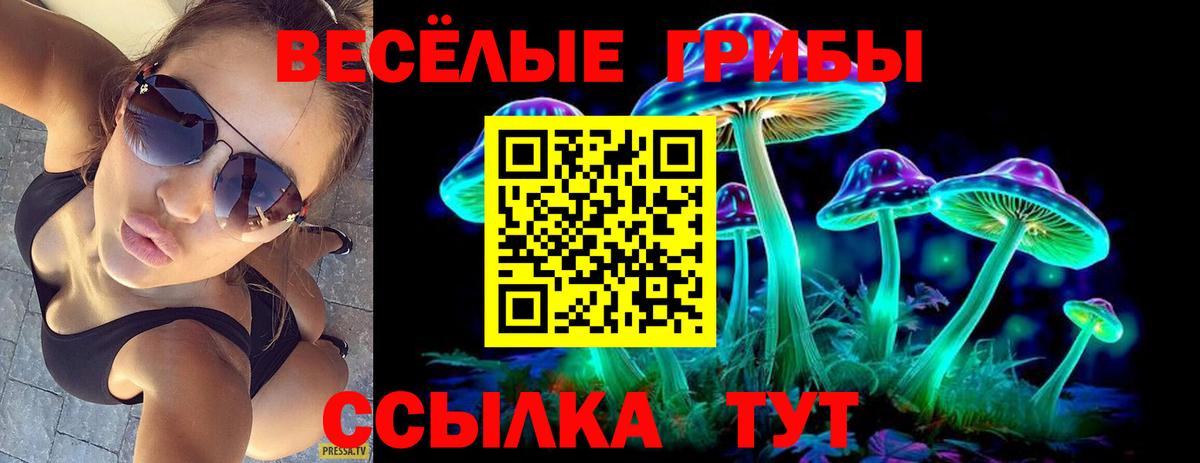 Карпинск  Галлюциногенные грибы мицелий  Вход с VPN  Псилоцибиновые грибы Magic Shrooms 
